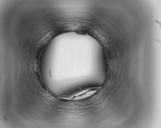 X0000097300313200802221342