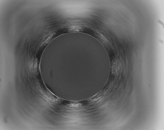 X0000097300314200802221342