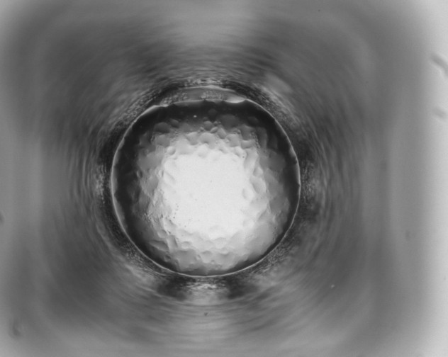 X0000097300315200802221342