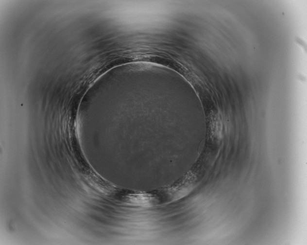 X0000097300316200802221341
