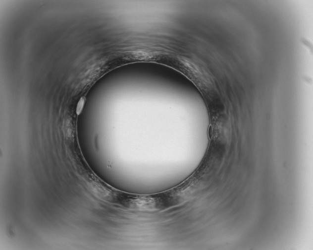 X0000097300317200802221341