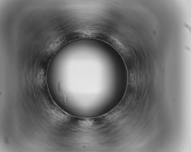X0000097300318200802221341