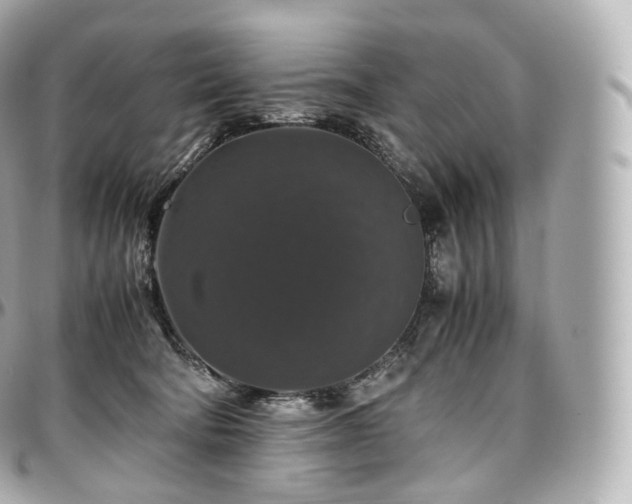 X0000097300322200802221341