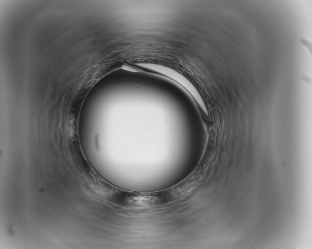 X0000097300323200802221341