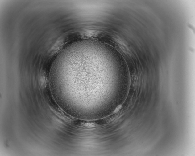 X0000097300324200802221341
