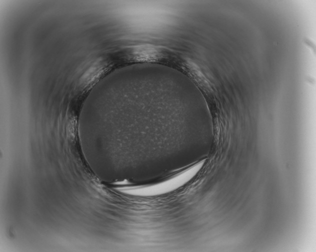 X0000097300325200802221341