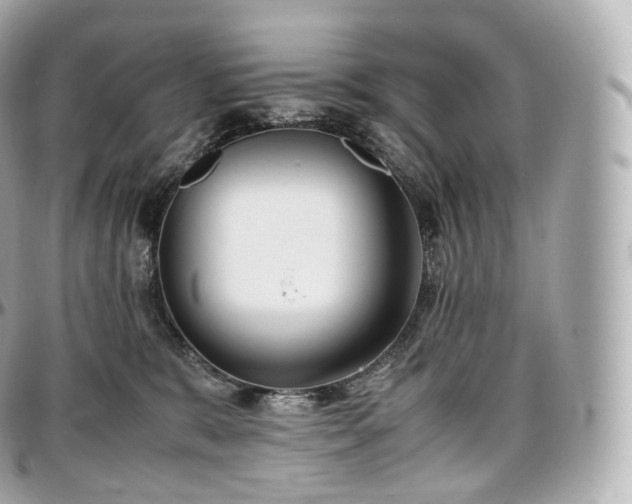 X0000097300327200802221341