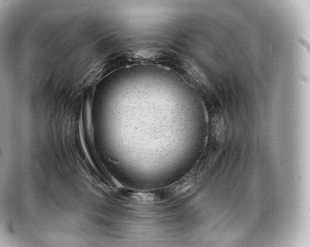 X0000097300328200802221341