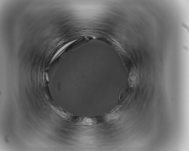 X0000097300330200802221341