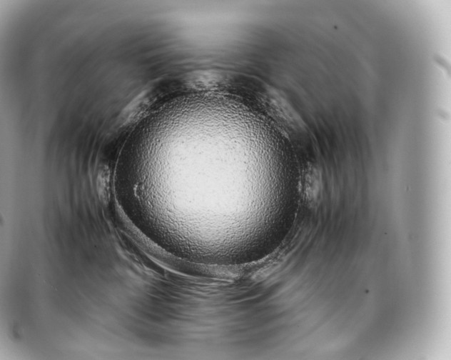 X0000097300332200802221341
