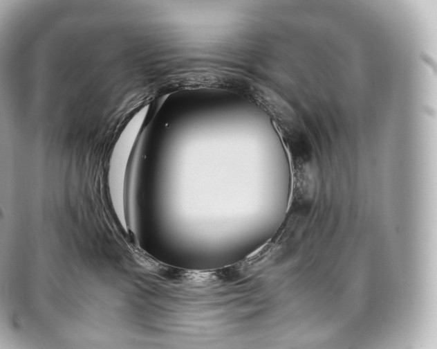 X0000097300333200802221341