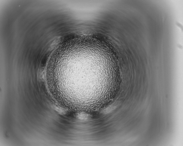 X0000097300336200802221341