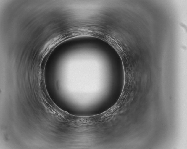 X0000097300338200802221340