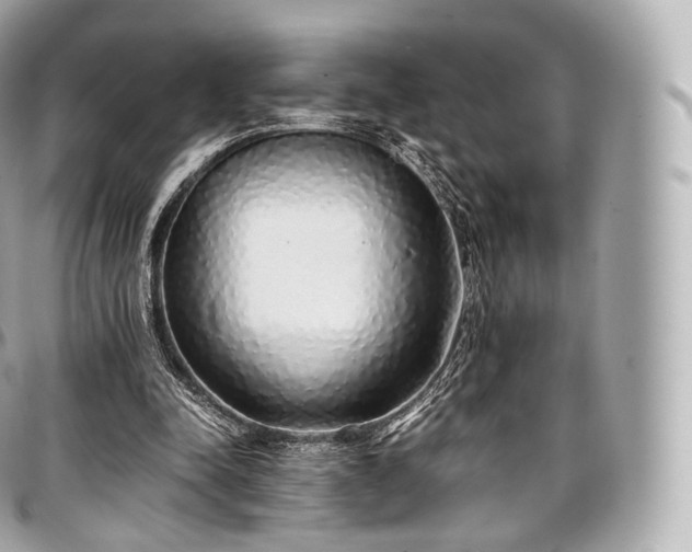 X0000097300342200802221340