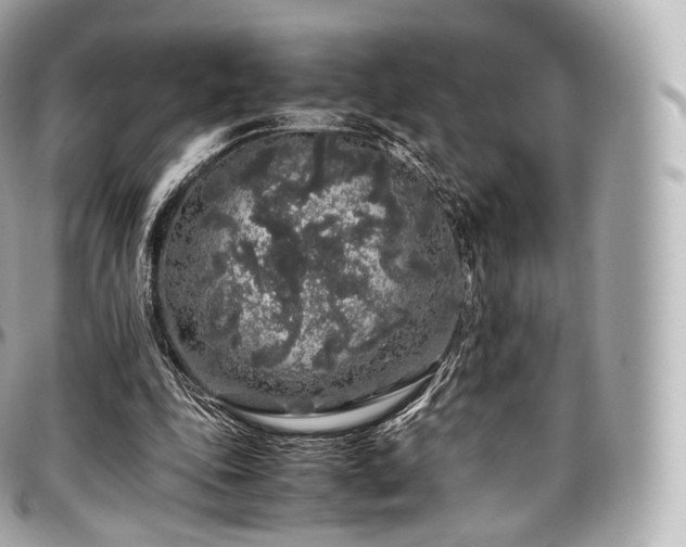 X0000097300343200802221341