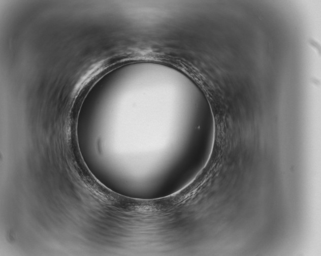 X0000097300344200802221341