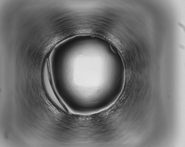X0000097300345200802221341