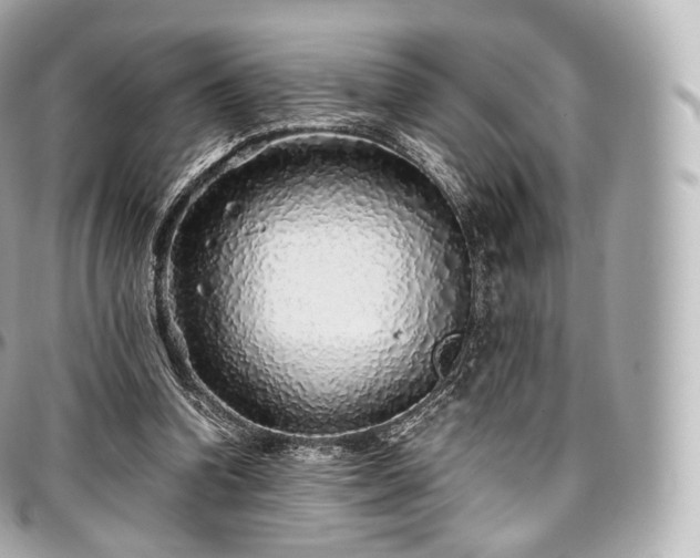 X0000097300346200802221341