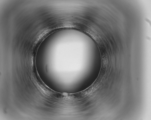 X0000097300350200802221341