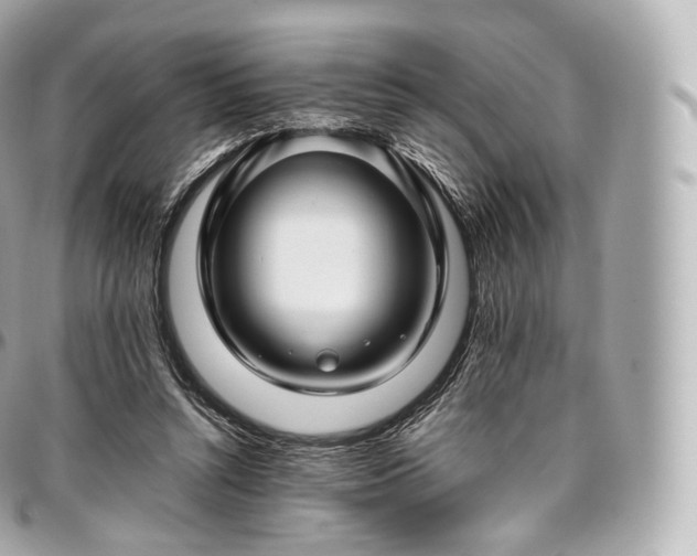 X0000097300352200802221341