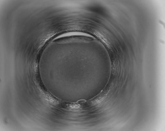 X0000097300355200802221341