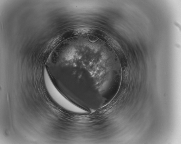 X0000097300361200802221341