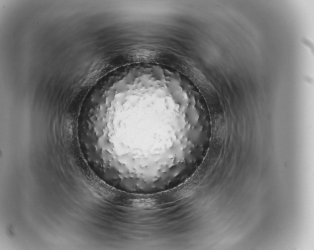 X0000097300363200802221341
