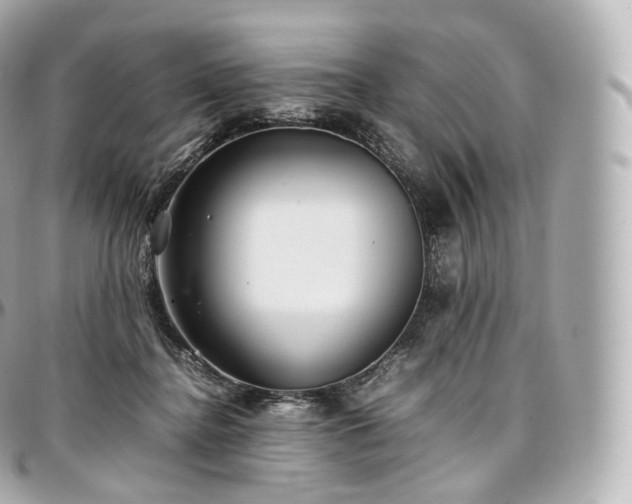 X0000097300364200802221341
