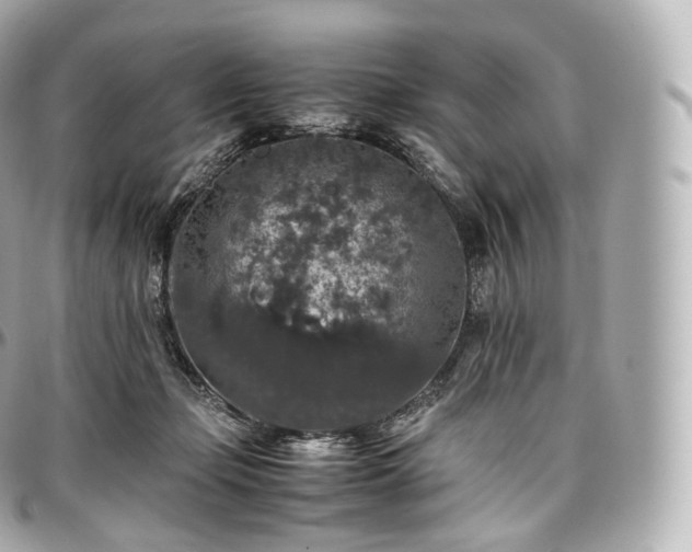 X0000097300365200802221341