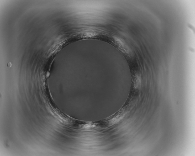 X0000097300366200802221341
