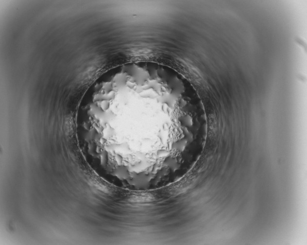 X0000097300369200802221341