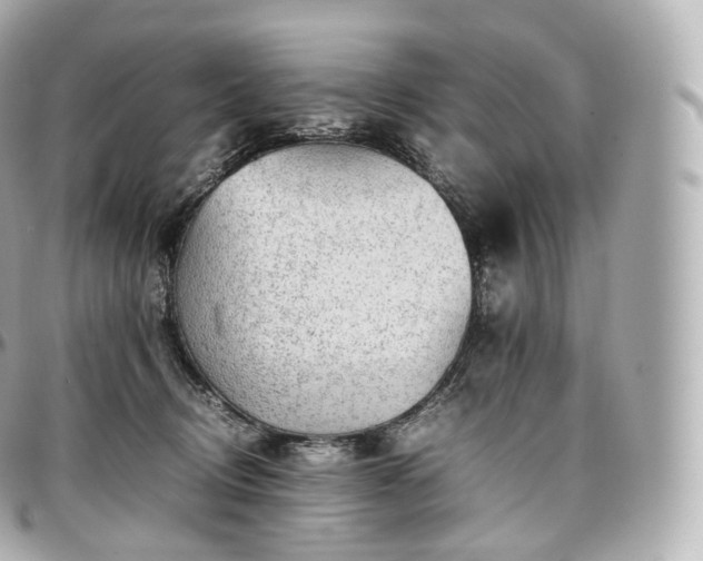 X0000097300370200802221341