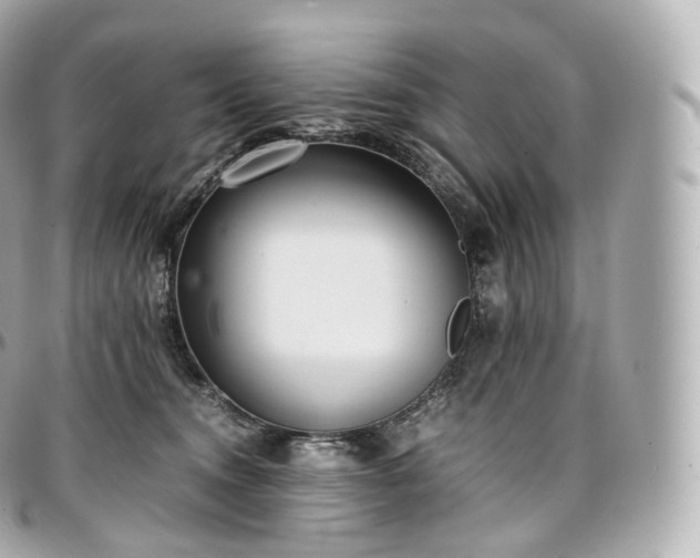 X0000097300372200802221341