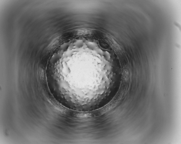 X0000097300375200802221341