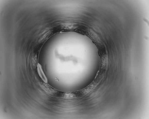 X0000097300376200802221341