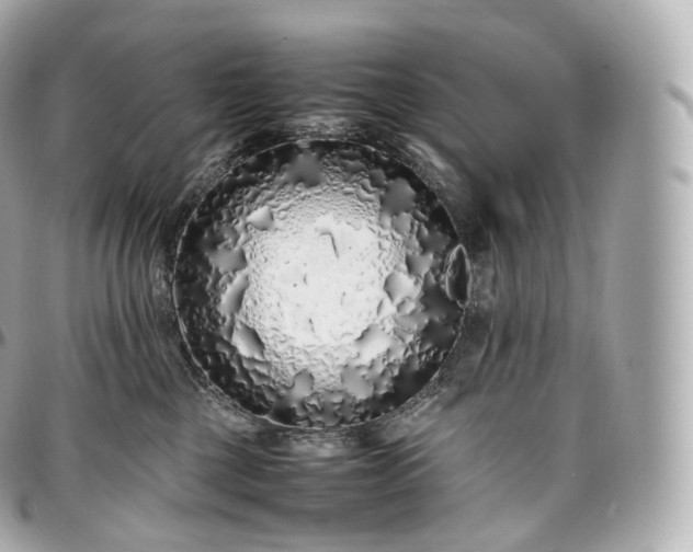 X0000097300377200802221341