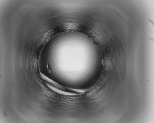 X0000097300379200802221341