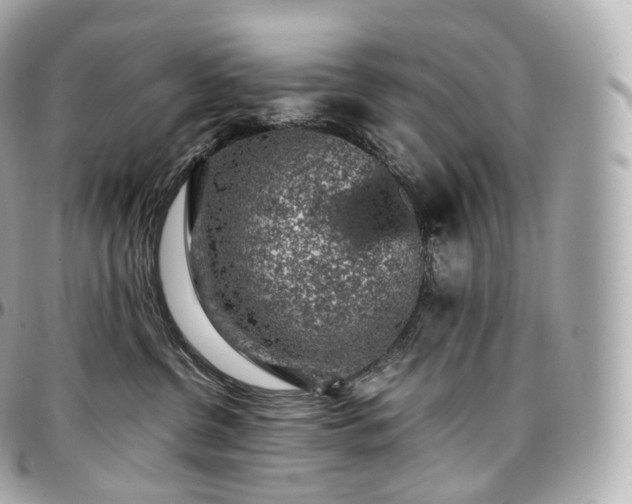 X0000097300380200802221341