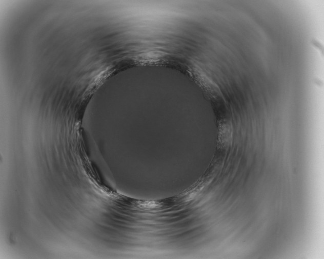 X0000097300383200802221341