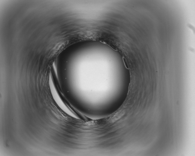 X0000097300384200802221341