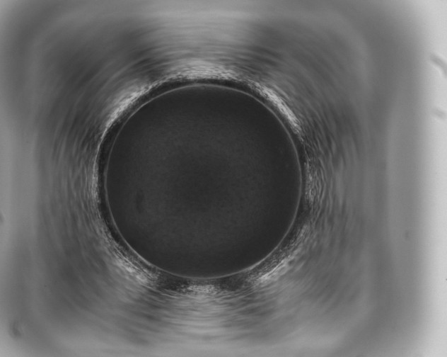 X0000097300391200802221340