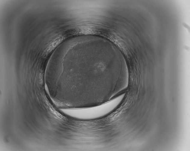 X0000097300393200802221340