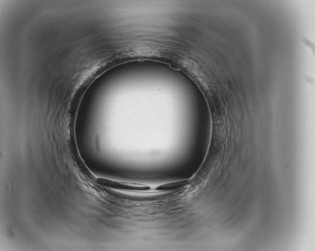 X0000097300395200802221340