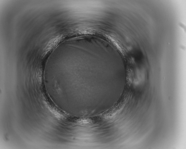 X0000097300402200802221340