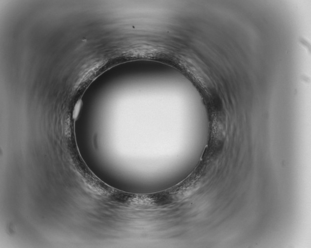 X0000097300403200802221340