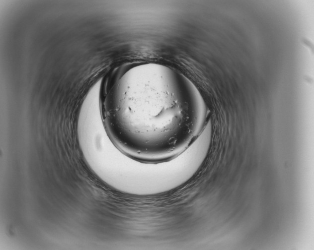 X0000097300415200802221340