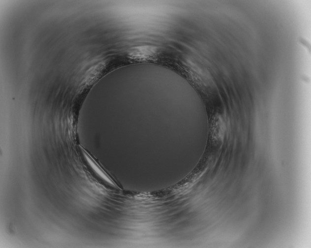 X0000097300420200802221340