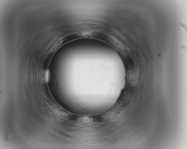 X0000097300421200802221340