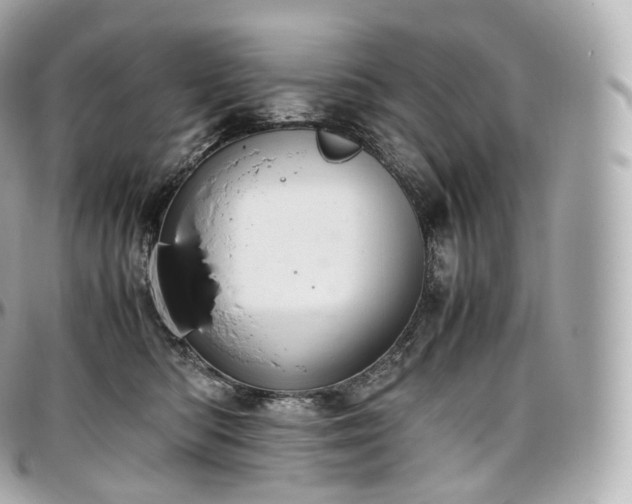 X0000097300422200802221340