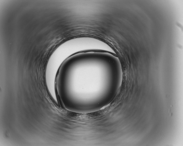X0000097300423200802221340